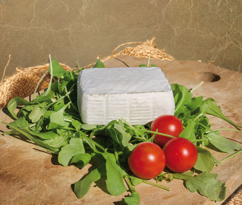 Formaggio di capra a crosta