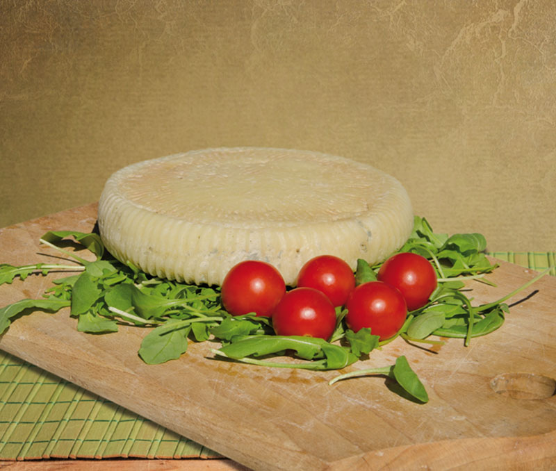 Formaggio di capra morbido